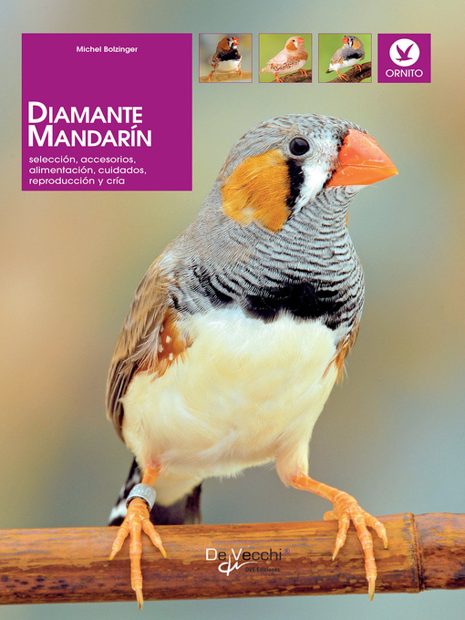 Title details for Diamante mandarín by Dr. Michel Bolzinger - Available